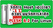 Domain Hosting
